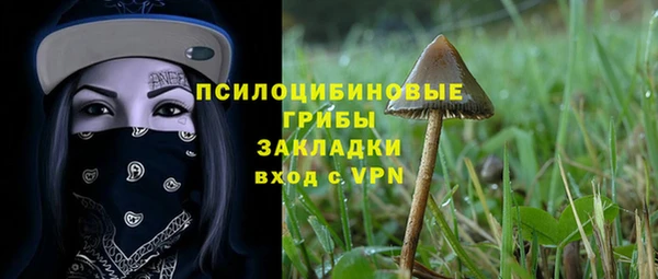 кокс Михайлов