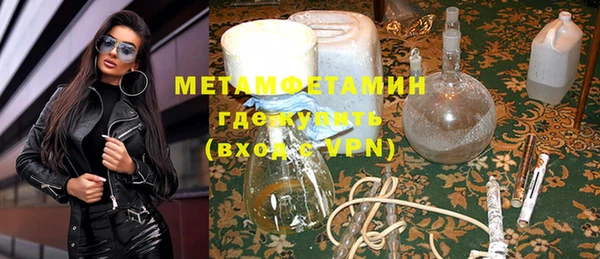 прущие грибы Михайловск
