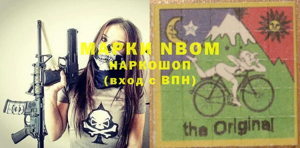 прущие грибы Новозыбков