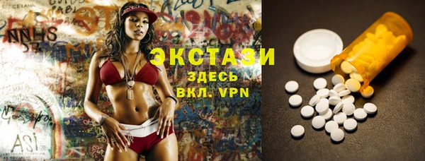 дживик Надым