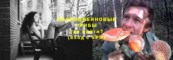 дживик Надым