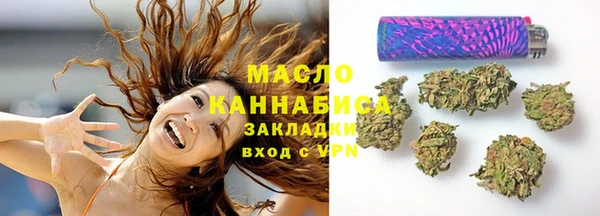 дживик Надым