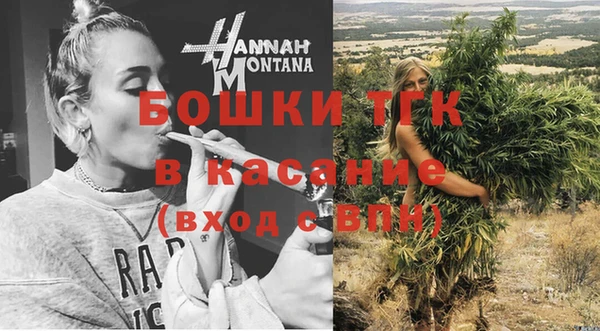 прущие грибы Новозыбков