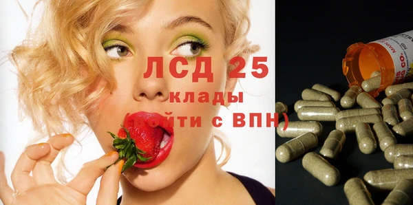 прущие грибы Михайловск