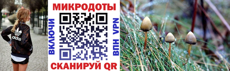 Псилоцибиновые грибы Magic Shrooms  дарнет шоп  Палласовка 